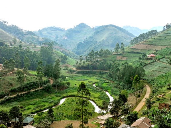 Beautiful Rushaga Gorilla tracking Landscape Beautiful Rushaga Gorilla tracking Landscape